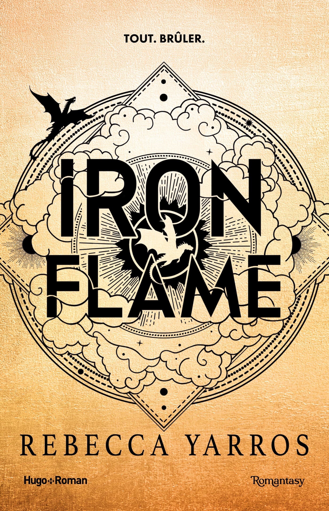 Couverture de Iron Flame