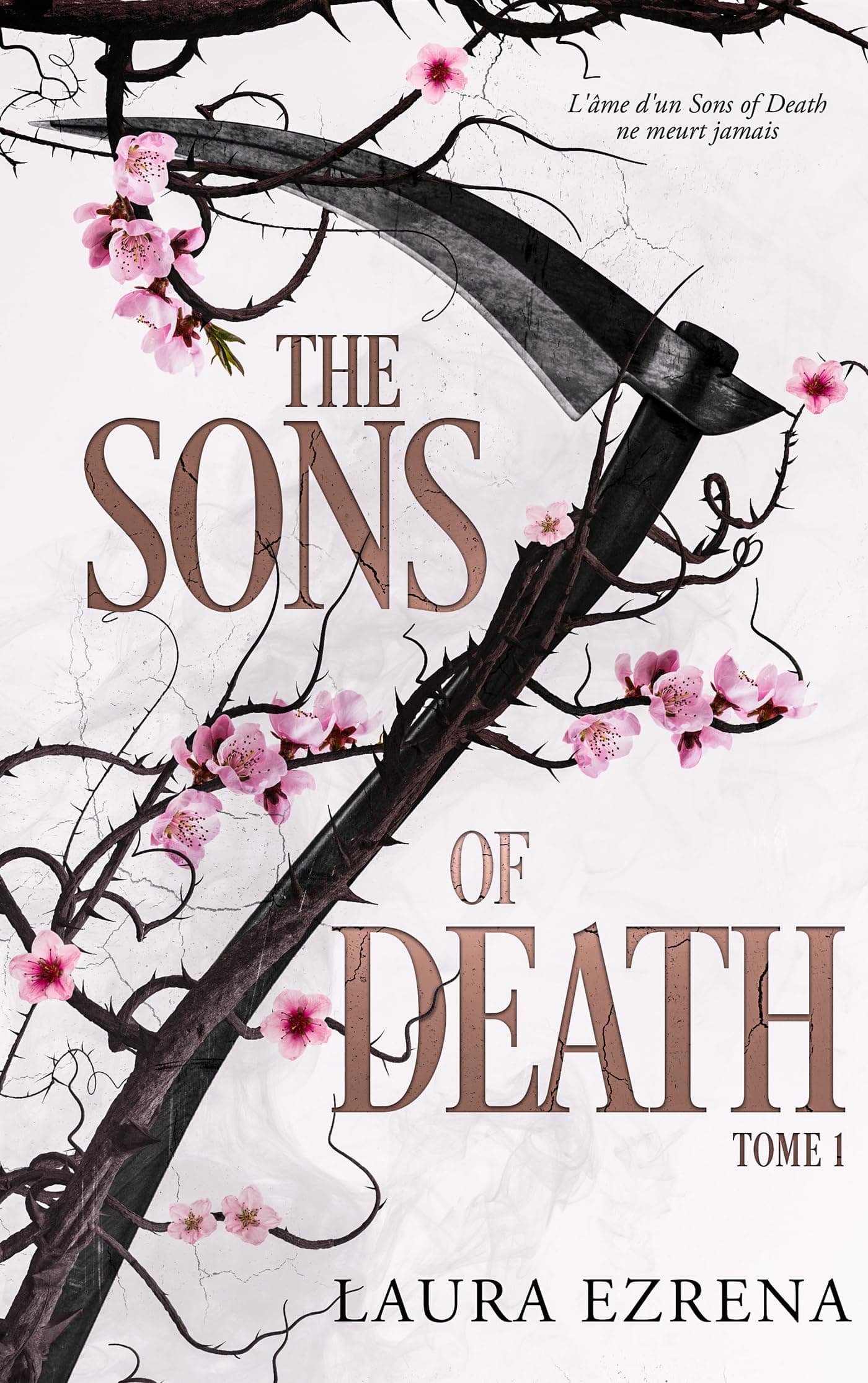 Couverture de The Sons of Death